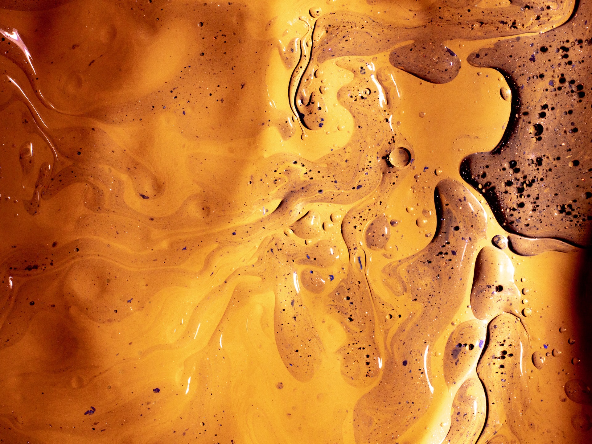 Oil Water Separators: What Are They and How Do They Work?